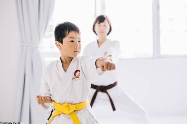 日本体育项目的发展与社会影响(图1)