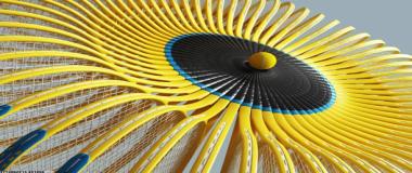 青少年体育素质提升